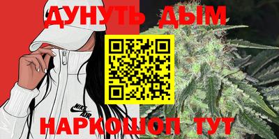 a pvp Новозыбков