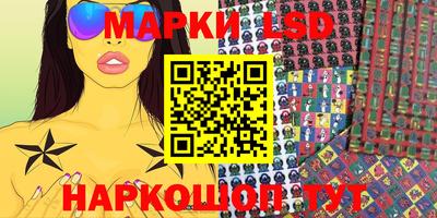 индика Новодвинск