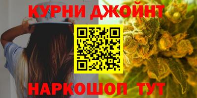a pvp Новозыбков