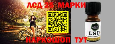 a pvp Новозыбков