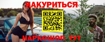 a pvp Новозыбков