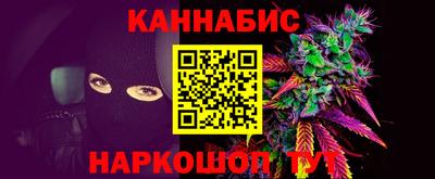 a pvp Новозыбков