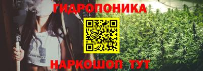 индика Новодвинск
