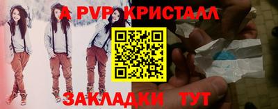 a pvp Новозыбков