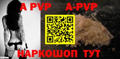a pvp Новозыбков