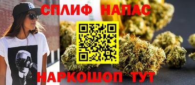 a pvp Новозыбков