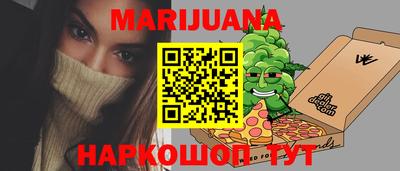индика Новодвинск