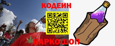 a pvp Новозыбков