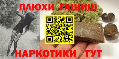 индика Новодвинск