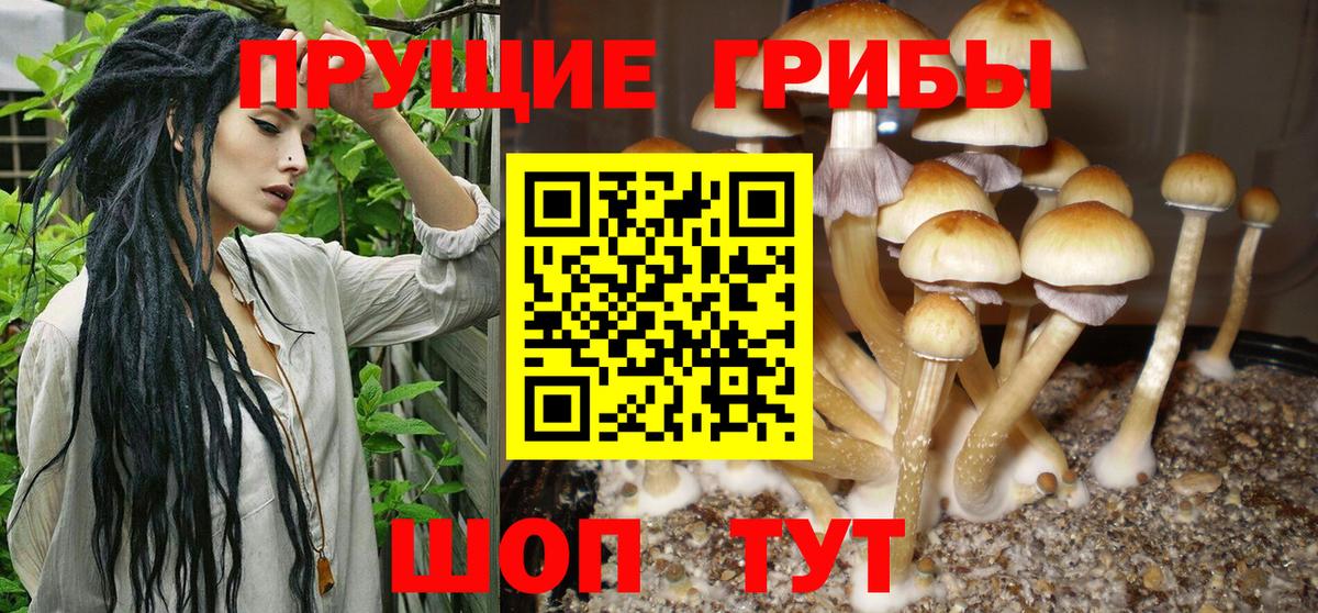 Галлюциногенные грибы Magic Shrooms Шадринск