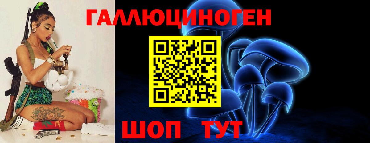 купить  цена  Галлюциногенные грибы мицелий  Вход с VPN  Шадринск 